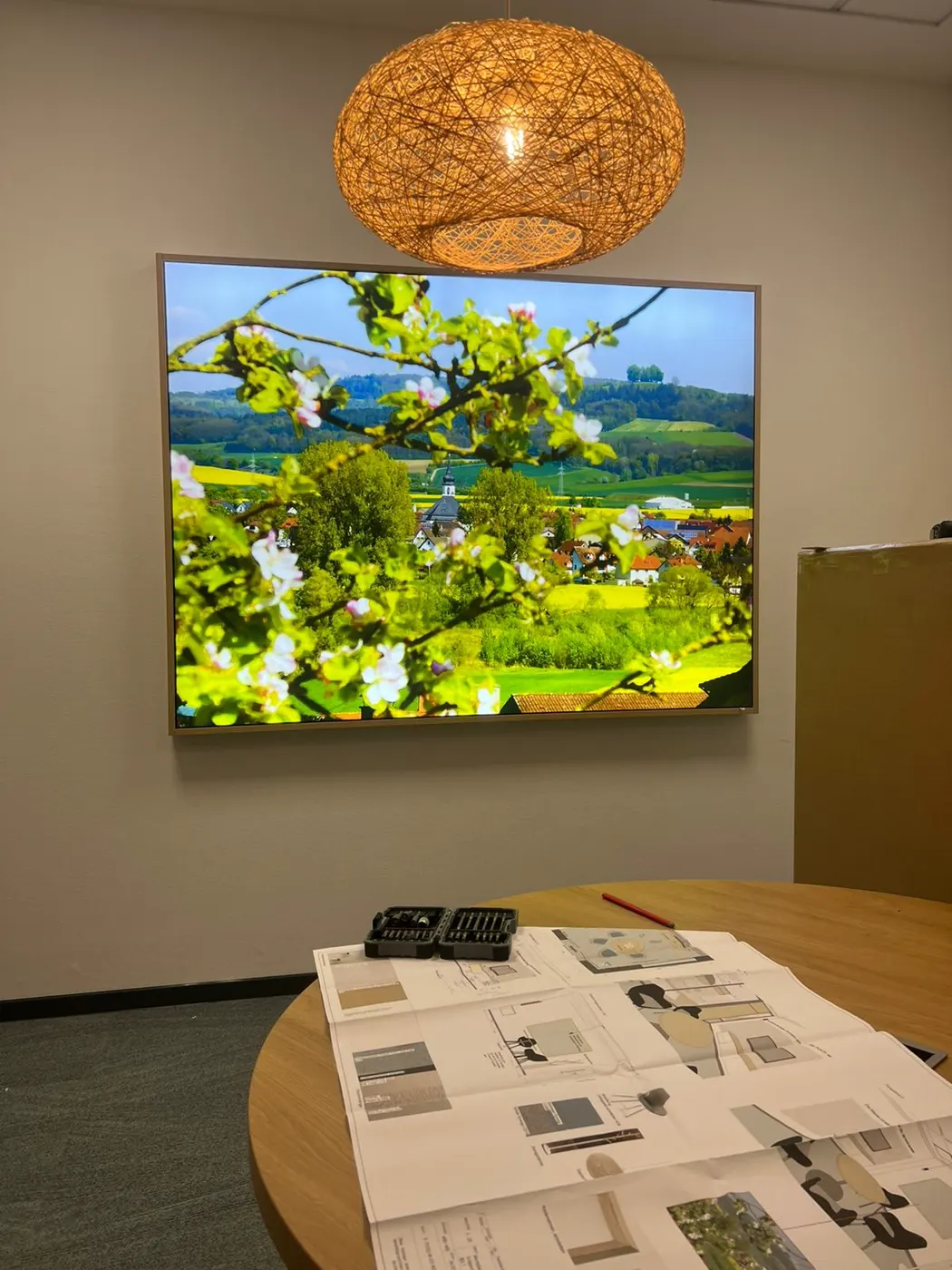 Fruit blossom above the meeting table