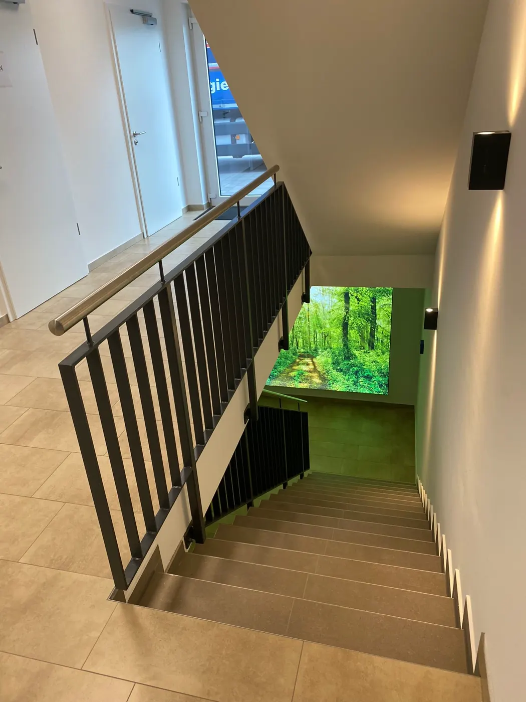Forest image as a focal point in the stairwell