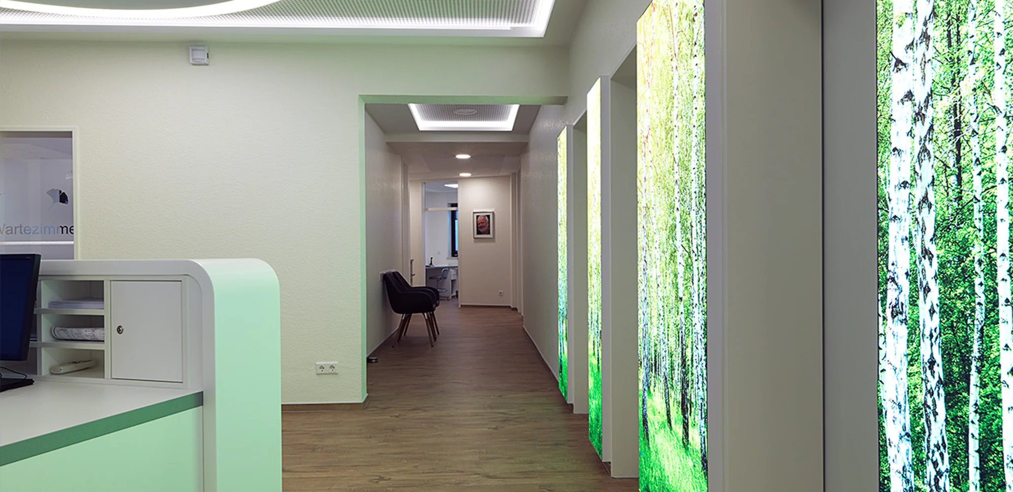 Birch image along the corridor wall
